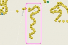 1509 Snake